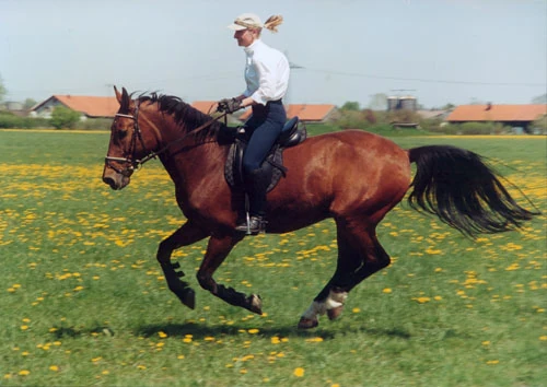 christa-on-horseback